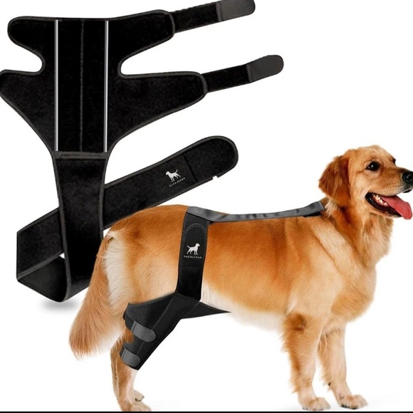 Paddle Pup Dog Knee Brace Reflective for Torn ACL, Knee & Ankle Pain - Size L - Picture 1 of 4